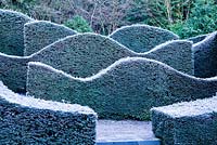 The Hedge Garden. Taxus baccata. Veddw House Garden, Monmouthshire, Wales, UK. Garden designed and created by Anne Wareham and Charles Hawes