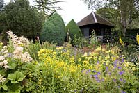 Early summer garden with summer house. Planting of: Mimulus guttatus, Primula florindae, Geranium 'Brookside' and Rodgersia aesculifolia. Hillbark Garden, Yorkshire