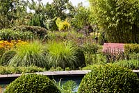 Formal pool surrounded by box balls, Pennisetum alopecuroides 'Hameln', perennials and a red bench under a Phyllostachys - July, Les Jardins de la Poterie Hillen