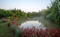 Pond with waterside planting including grasses, reed, bamboo and Persicaria microcephala 'Red Dragon' - July, Les Jardins de la Poterie Hillen