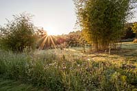 Flowering meadow, lawn and bamboo in the Prairie garden - July, Les Jardins de la Poterie Hillen