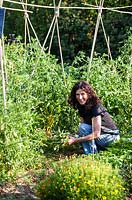 Renate-Elisa Hillen working in her potager - July, Les Jardins de la Poterie Hillen