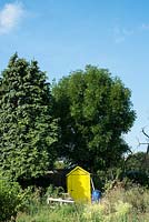 Yellow shed on allotment dwarfed by trees