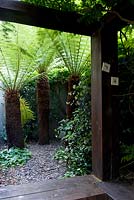 View through rail sleeper loggia to shady enclosed space with slate chip flooring and three tree ferns - Dicksonia antarctica. 