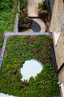 View down into garden and on to flat roof with round ceiling light and living sedum turf roof. 