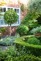 Front garden containing Buxus and Viburnum Tinus standards and  topairy