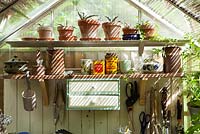 Interior of greenhouse with shelves, tools and pots