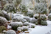 Trees and shrubs covered in snow at Dip on the Hill Garden, February. 