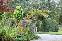 Perennial borders and clipped evergreen shrubs with an arch next to gravel surface. Plants are Acer japonicum, Aristolochia macrophylla, Aster and Taxus