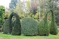 Evergreen shrubs clipped as arches and spheres. Plants are Taxus, Thuja occidentalis 'Smaragd'