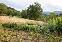 Small acre with vegetables and flowers embedded in natural landscape with meadows and an orchard. Plants include potatoes, Dahlia and Helianthus annus 