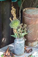 Seed head collection in a tin milk can. Plants are Allium sativum, Althaea officinalis, Atriplex hortensis and Verbascum