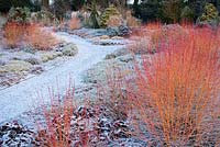 The Winter Garden, Bressingham Gardens, Norfolk, UK. Design: Adrian Bloom
