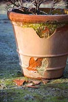 Frost damaged terracotta pot