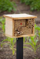 Bee and insect box placed in garden to encourage pollinators
