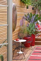 Brazilian hardwood decking with red containers planted with agave, perovskia and a fern, copper disc on fence. Ben De Lisi House and Garden, London