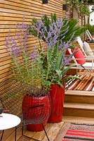 Brazilian hardwood decking with red containers planted with perovskia, agaves and a fern. Ben De Lisi House and Garden, London
