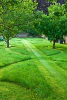 Symmetrical grass paths in lawn in orchard. Poulton House Garden, Wiltshire. 