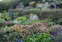 Foamlea Gardens, Woolacombe, Devon