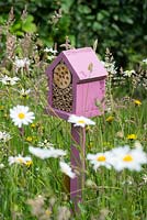 Bug box situated in small wildflower area of garden, aimed at attracting pollinating red mason bees.