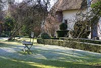 Box hedges and Yew topiary with garden bench on a frosty morning at the front of a thatched cottage. St Francis Cottage.