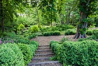 Steps edged with hedges of clipped box lead down into the dell garden, where a circular area below a mature horse chestnut tree is kept free of plants, echoing the circular grass performance space at the far end.
