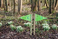 Sign to the snowdrop woods. Welford Park, Newbury, Berks, UK