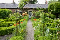 Front garden has central gravel path running below rose arches and between box edged beds containing box topiary, bright oriental poppies, veronica and honesty.