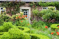 Oriental poppies make a bright splash of colour in the predominantly green front garden shaped by a clipped box parterre.