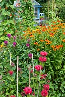 Summer garden of mixed vegetable and flower beds, foreground with Monarda 'On Parade',  Monarda 'Gardenview Scarlet' and Helenium 'Sahin's Early Flowerer' .
