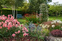 Mixed garden border with Dahlia 'Preference' and Salvia coccinea 'Coral Nymph'

