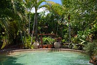 Swimming pool surrounded by palm trees and other shrubs with a collection of pots and a small timber bridge.