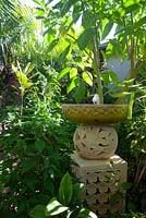 A carved stone Balinese birdbath on a plinth with a frangipani motif in a shady garden.