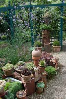 Curving gravel path edged by arrangements of pots and containers with Sedum, Sempervivum Echeveria, Verbena and Heuchera at Southlands, July