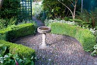 Circular cobbled shaded garden with bird bath and Buxus sempervirens clipped curving hedge. Aegopodium podagraria 'Variegata', Camelia japonica, Fatsia japonica and Polystichum setiferum - Soft shield fern. Southlands, July