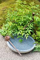 Japanese Summer Garden, Traditional stone water basin and Kakei - bamboo spout for visitors to wash their hands. Surrounded by Nandina domestica with moss underplanting. RHS Hampton Court Flower Show in 2016