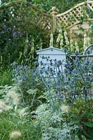 Close up, of 'The Drought Garden' designed by Steve Dimmock, Verbascum 'Kynaston', Eryngium 'Jos Eiking', Artemisia 'Powis Castle' and Pennisetum alopecuroides 'Hameln'. Best City Garden, Hampton Court Flower Show, July 2016.