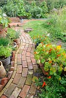 Rustic relaimed brick path leading to small vegetable plot, Norfolk, England, July