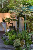 Senri Sentei - Garage Garden: relaxing space with a bonsai tree. The RHS Chelsea Flower Show 2016. Designer: Kazuyuki Ishihara - Sponsor: Henri-Sentei Project - GOLD