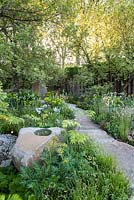 The M and G Garden, view of a stone and path surrounded by Molopospermum peloponnesiacum,  Quercus pubescens and woodland plants, RHS Chelsea Flower Show, 2016. 