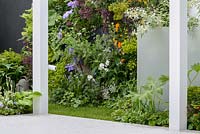 Perennial planting and climbers on the wall in The Watahan East and West Garden. The RHS Chelsea Flower Show 2016 - Designer: Chihori Shibayama and Yano Tea - Sponsor: Watahan - SILVER