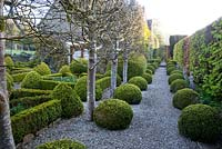 A view of the parterre on the left of the house surrounded by pleached trees and on the right a long path lined with box balls. The Little House, April