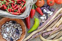 Collection of Autumn produce, Chillies, Tomatoes, Borlotti and runner beans, Norfolk, Uk, October