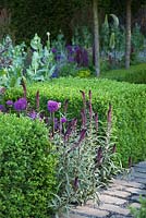 Support, The Husqvarna Garden - Planting of Lysimachia atropurpurea and Allium hollandicum 'Purple Sensation' intersapced with clipped box  and path of bluestone cobbles. RHS Chelsea Flower Show, 2016