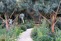 Path leading to spiral stairs under  Pinus sylvestris 'Watereri' - The Winton Beauty of Mathematics Garden, The RHS Chelsea Flower Show 2016, Designer: Nick Bailey, Sponsor: Winton