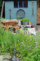 Garden wildlife pond with potting shed in background, UK, May