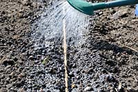 Pre-watering a seed drill prior to sowing seed