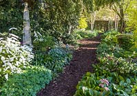 The Shade Garden in April at Wollerton Old Hall Garden, Shropshire. Plants include Hellebores, Pulmonarias, Bergenias and Exochorda macrantha