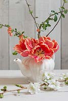 Red parrot tulips with Chaenomeles - Japanese quince arranged in porcelain teapot against  wooden wall