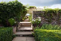 Contemporary country garden, stone steps leading up to garden entrance, with Box hedging, pots planted with summer annuals, views into the long herbaceous border